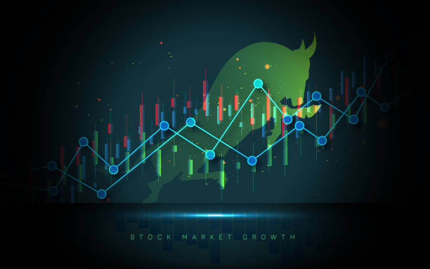 crypto bull market 2