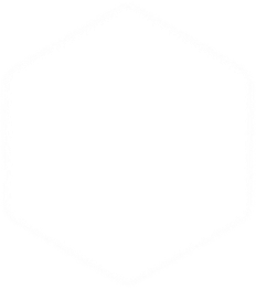 Polygon 4